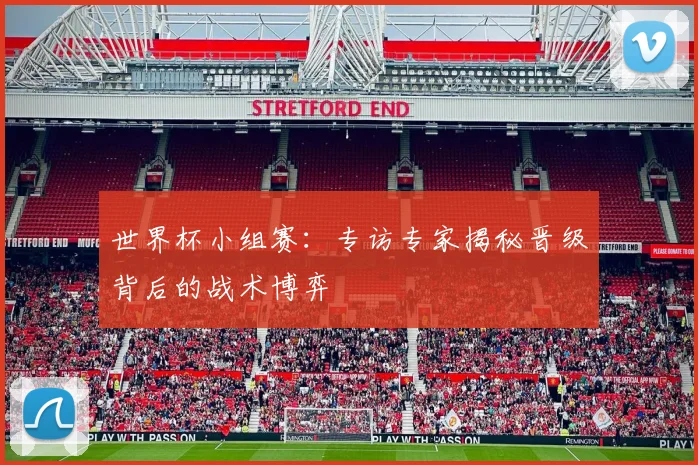 世界杯小组赛：专访专家揭秘晋级背后的战术博弈
